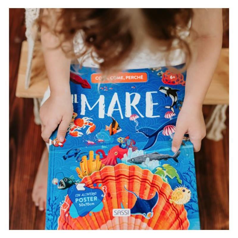 WHAT- HOW- WHY - THE SEA