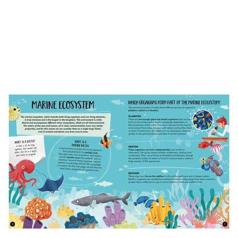 WHAT- HOW- WHY - THE SEA