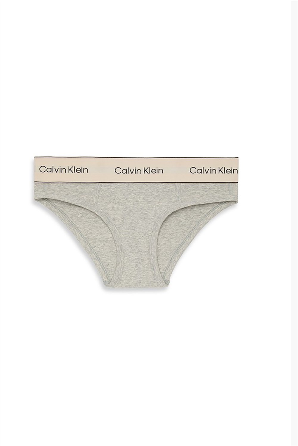 Calvin Klein Bikini Kadın Külot Gri