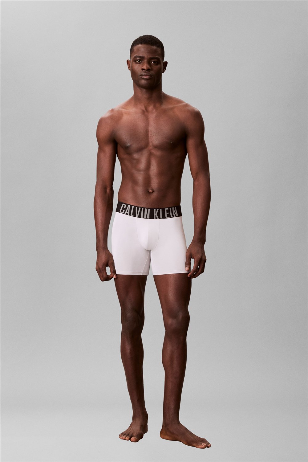 Calvin Klein Boxer Brief 3Pk Erkek 3lü Boxer