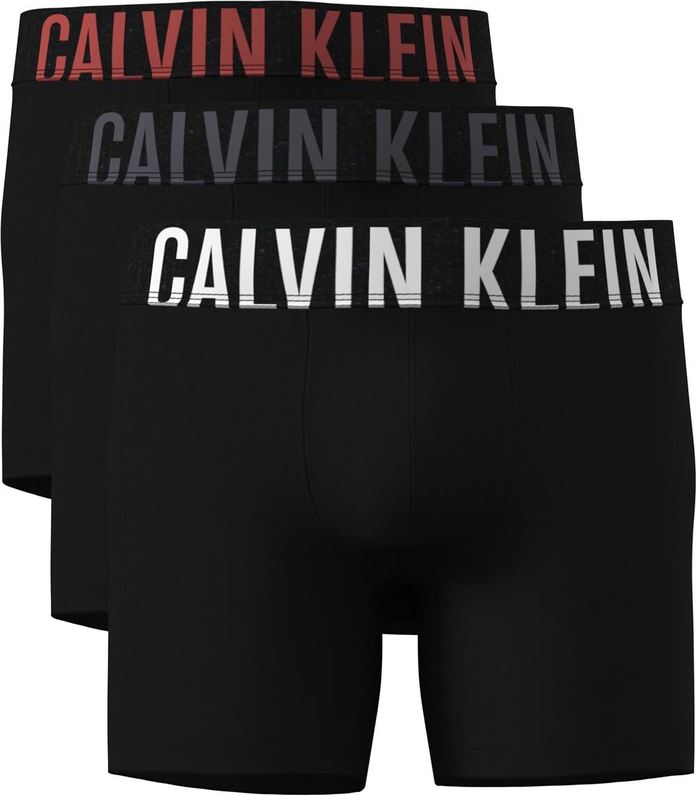 Calvin Klein Boxer Brief Erkek 3lü Boxer