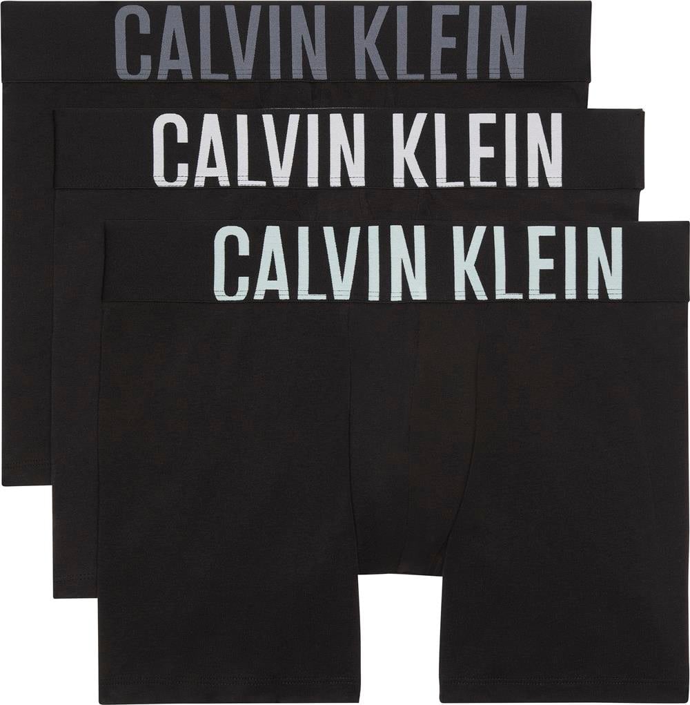 Calvin Klein Boxer Brief Erkek 3lü Boxer