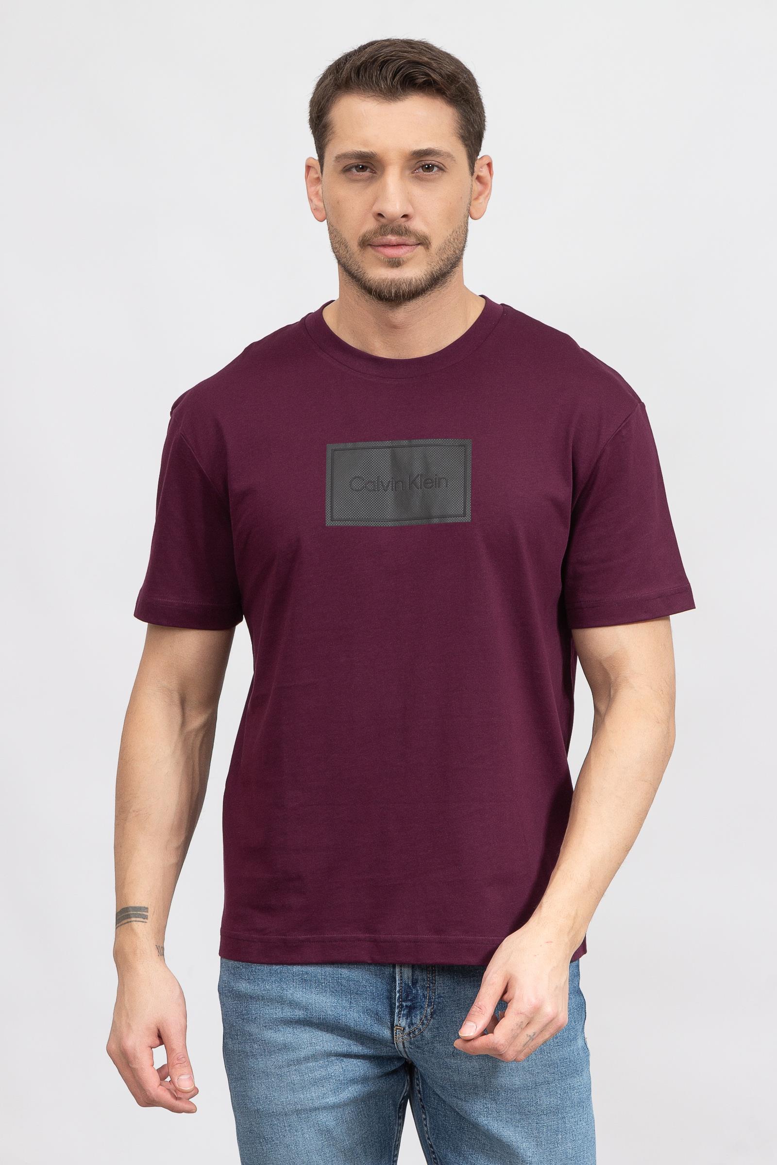 Calvin Klein Seasonal Logo Erkek Bisiklet Yaka T-Shirt