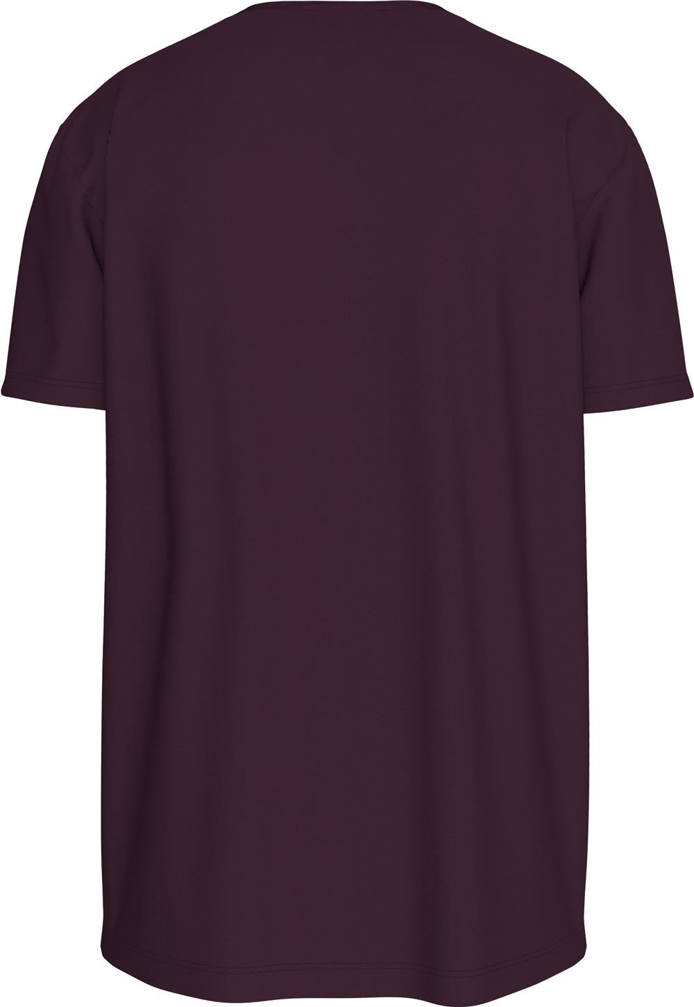 Calvin Klein Ss Gift Giving 20S Easy Tee Erkek Bisiklet Yaka T-Shirt