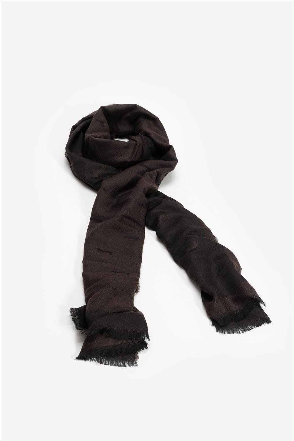 Harmont Blaine Erkek Atkı