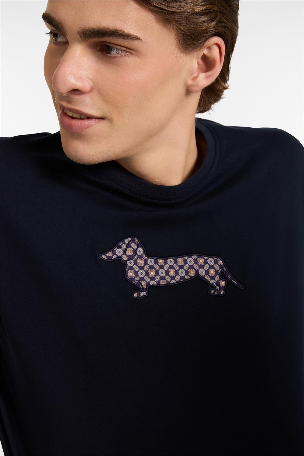 Harmont Blaine Erkek Bisiklet Yaka T-Shirt