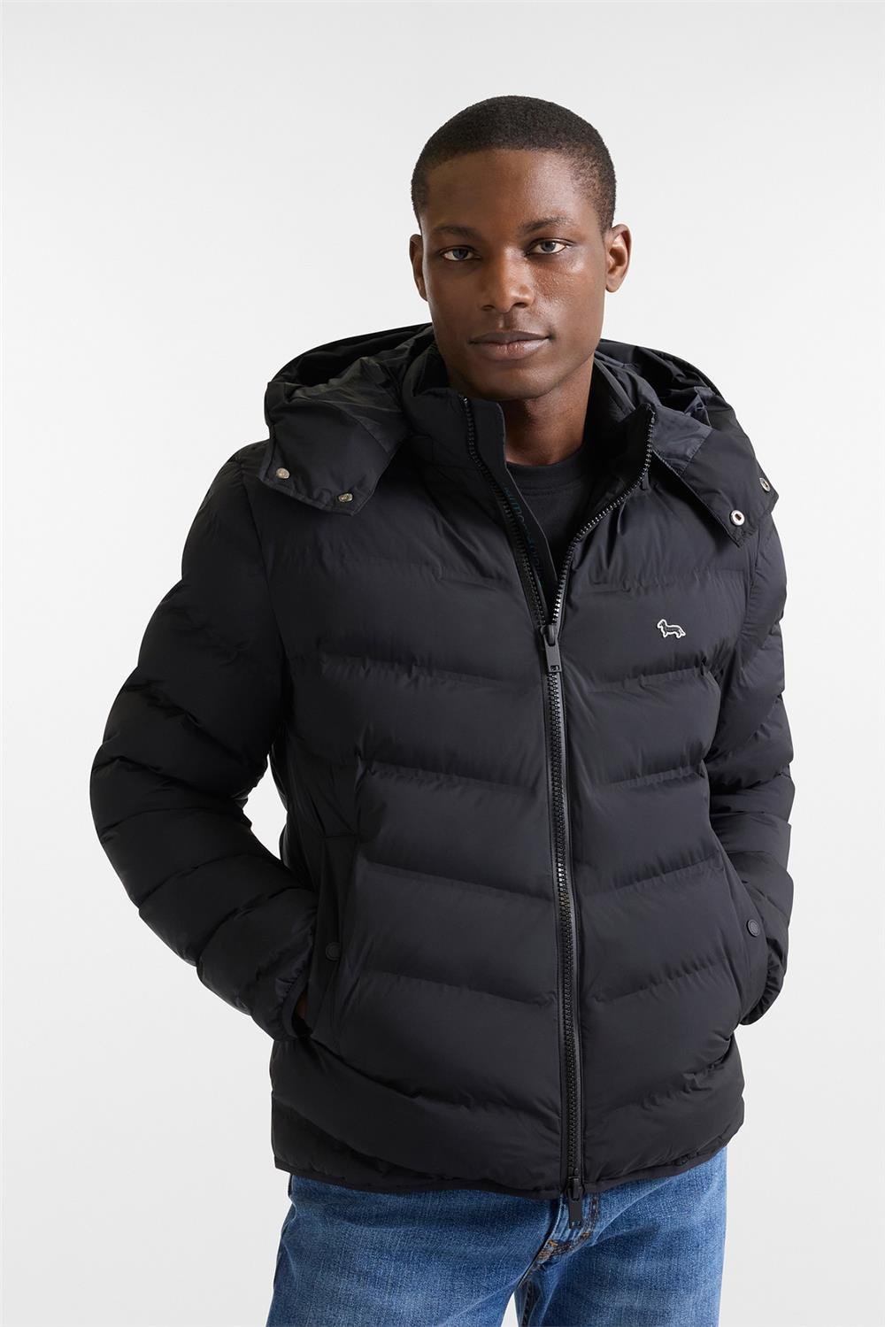 Harmont Blaine Erkek Şişme Mont