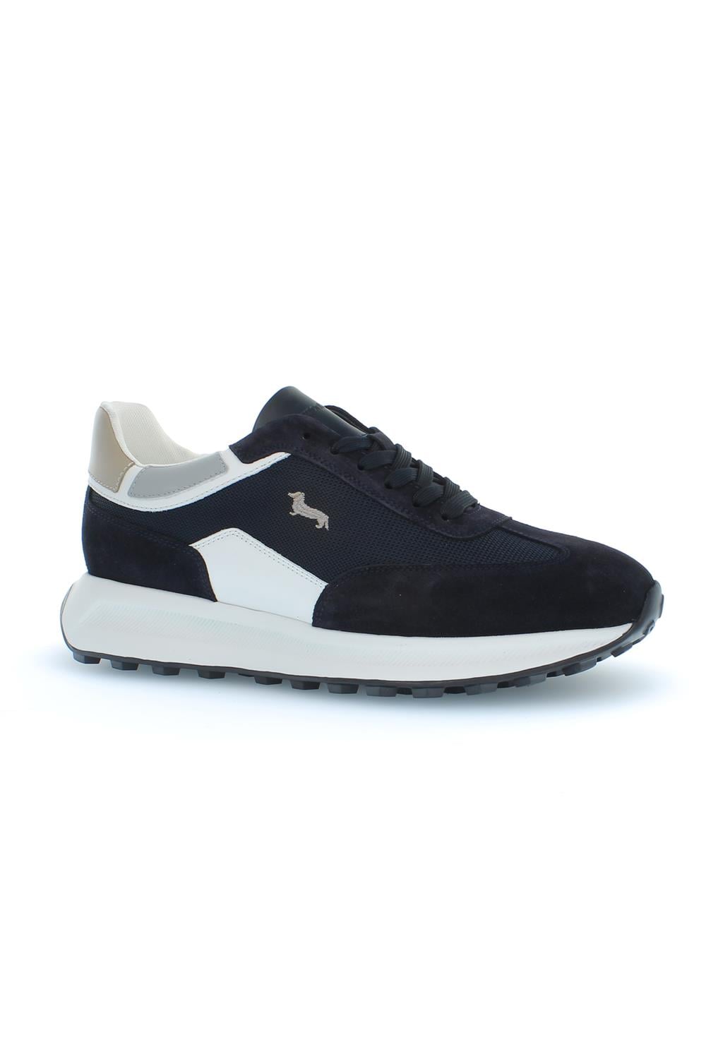 Harmont Blaine Erkek Sneaker