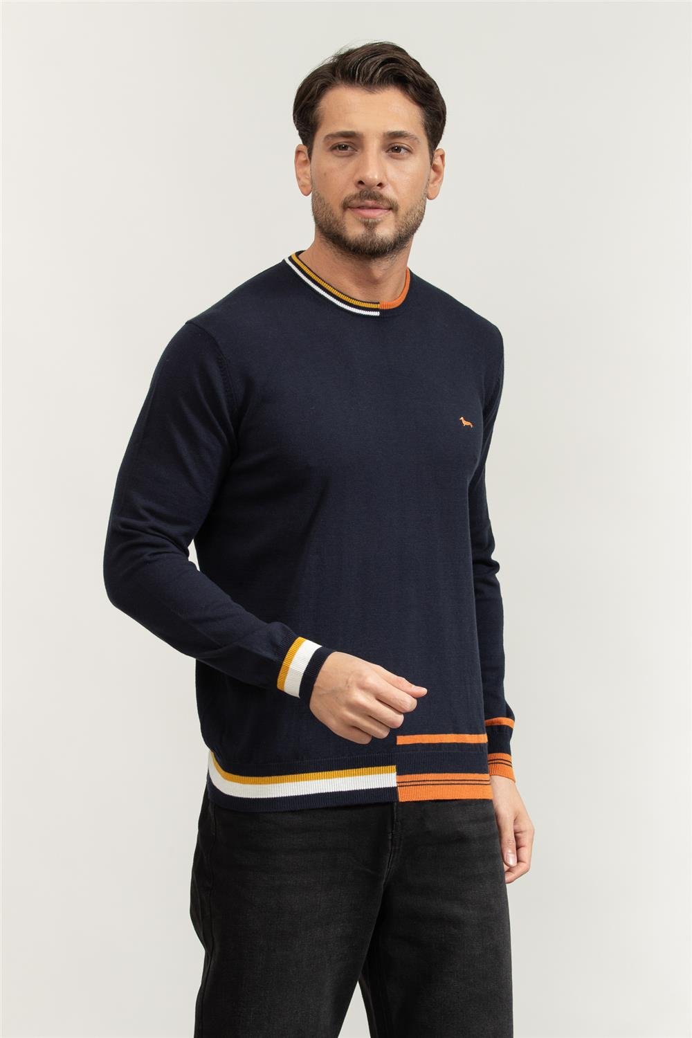 Harmont Blaine Erkek Triko
