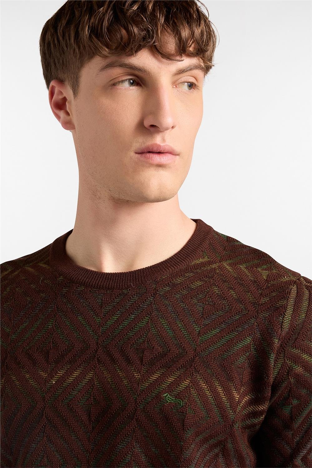 Harmont Blaine Erkek Triko