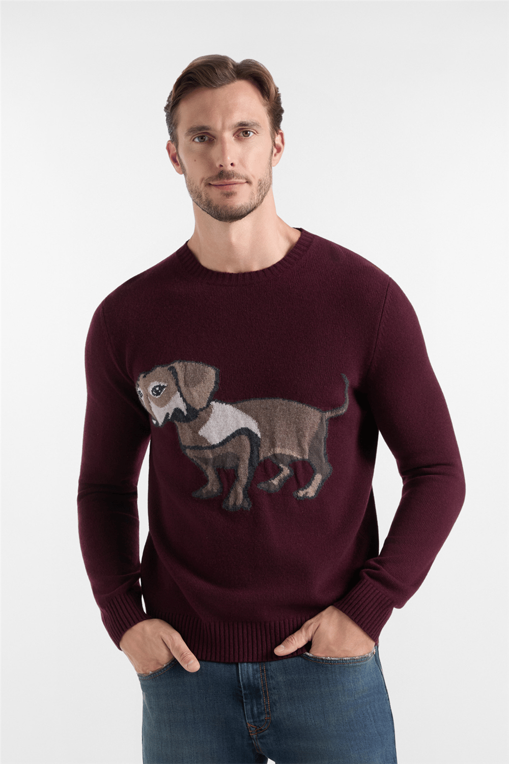 Harmont Blaine Pull Jaquard Intarsio Erkek Triko