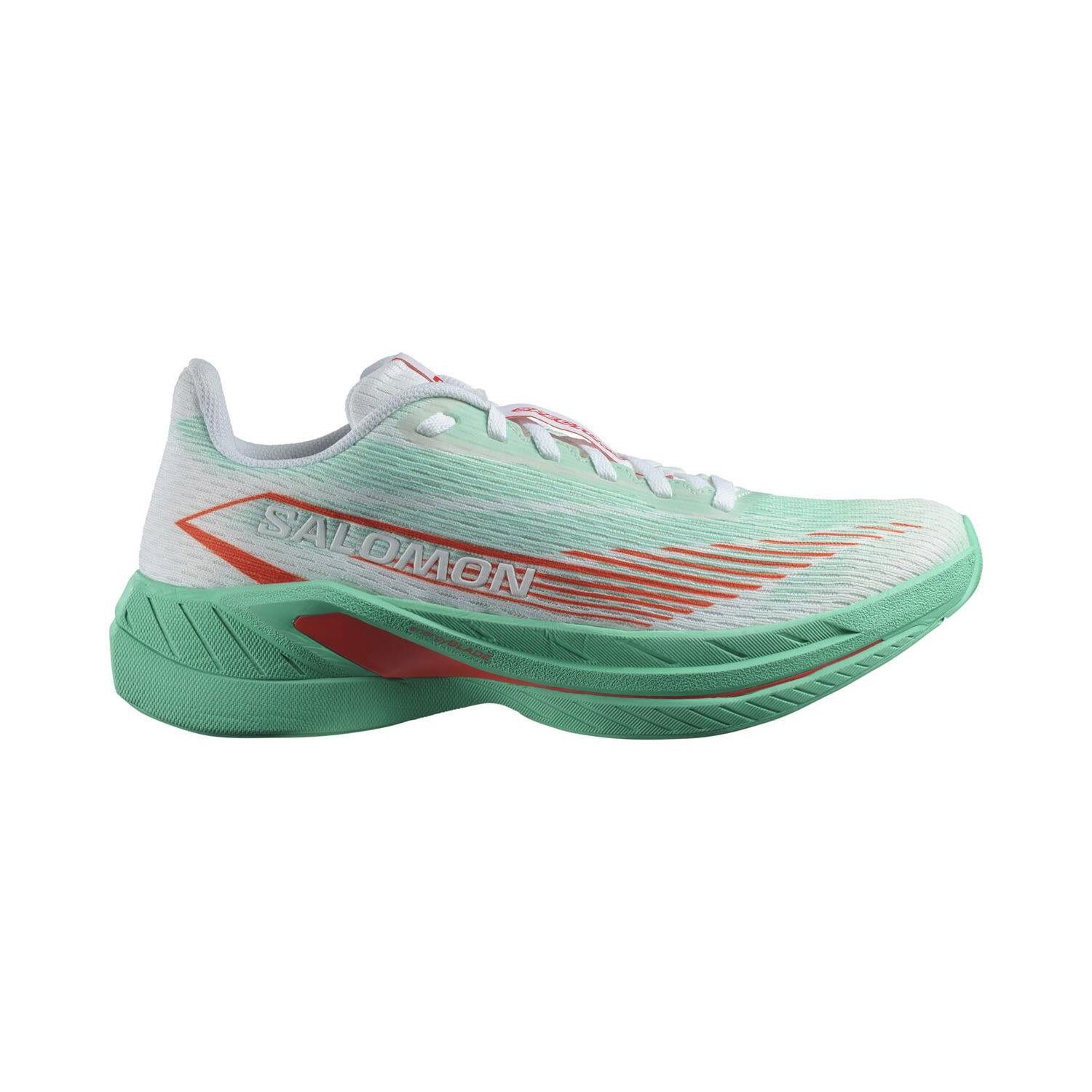 SPECTUR 2 W