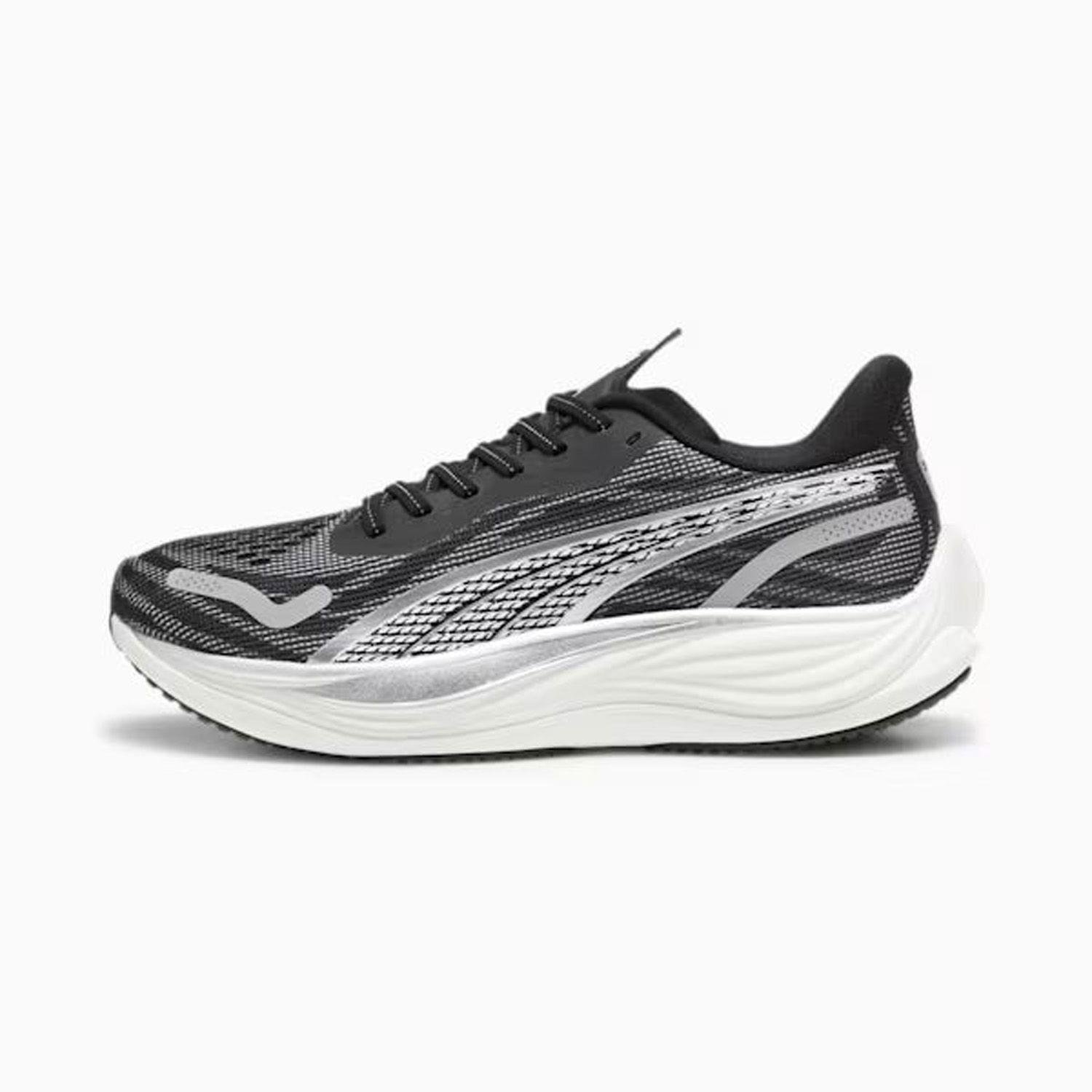 Velocity NITRO  3