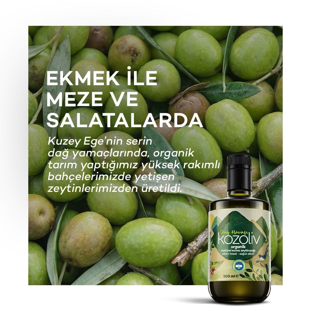 Organik Erken Hasat Soğuk Sıkım Natürel Sızma Zeytinyağı -  Dağ Havası 500ml Erken Hasat Natürel Sızma Zeytinyağı