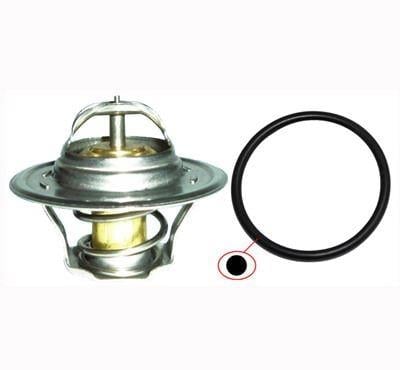 TERMOSTAT BORA GOLF A3 1.4