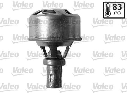 TERMOSTAT RENAULT