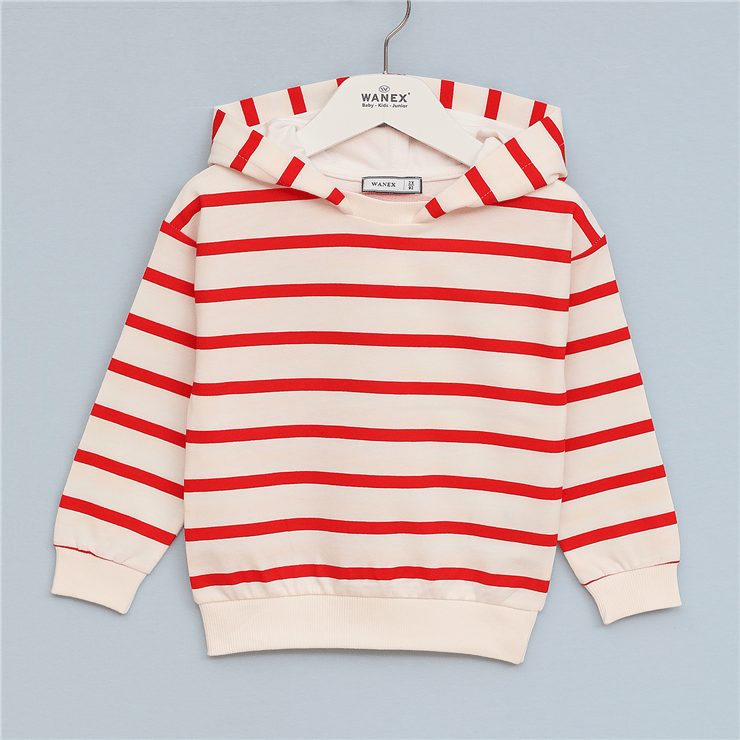 Erkek Çocuk Kapüşonlu Çizgili Sweatshirt - 16685