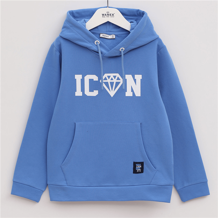 ERKEK ÇOCUK Uzun Kol Kalın Kapüşonlu Sweatshirt - 15401