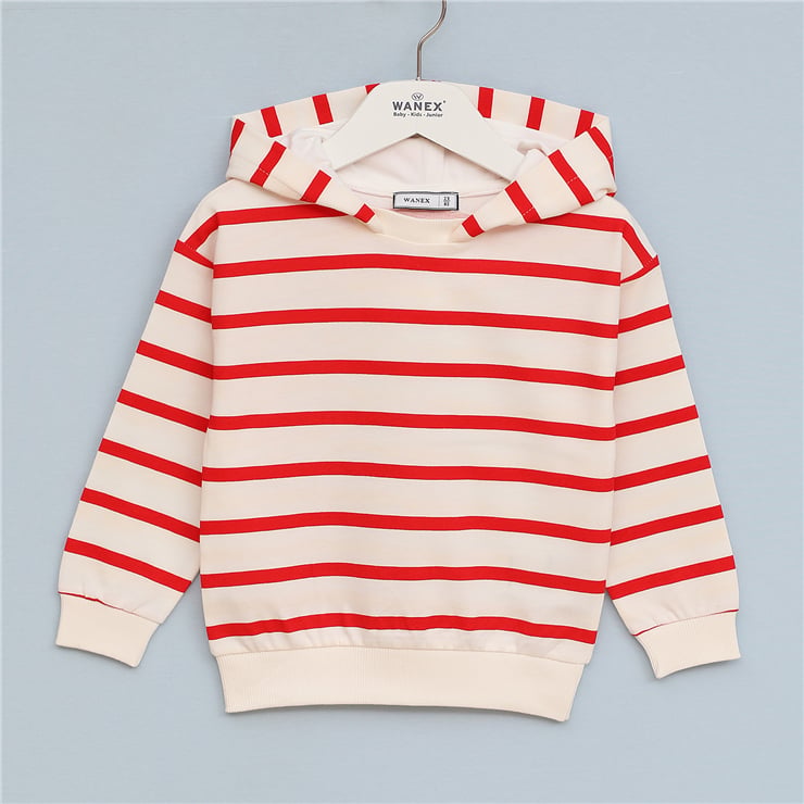 Erkek Çocuk Kapüşonlu Çizgili Sweatshirt - 16685