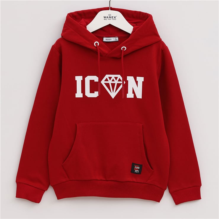 Erkek Çocuk Uzun Kol Kalın Kapüşonlu Sweatshirt - 15401