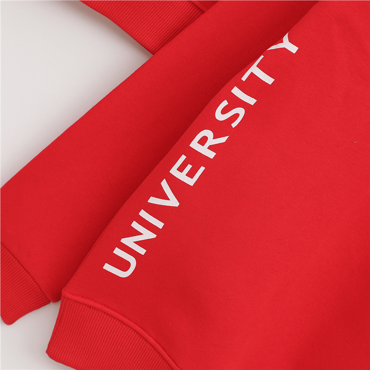 Erkek Çocuk Şardonlu Uzun Kol Kalın Bisiklet Yaka Sweatshirt - 16213