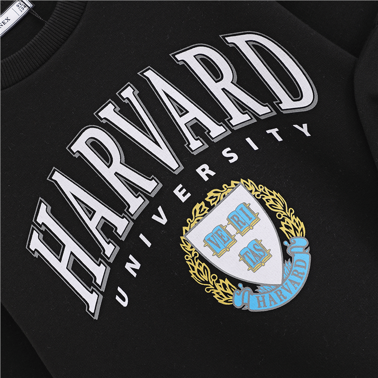 Erkek Çocuk Şardonlu Uzun Kol Kalın Bisiklet Yaka Sweatshirt - 16213