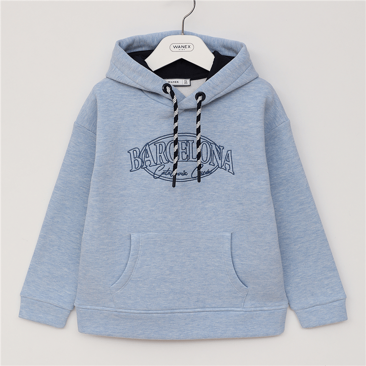 Erkek Çocuk Uzun Kol Kalın Kapüşonlu Sweat - 16640