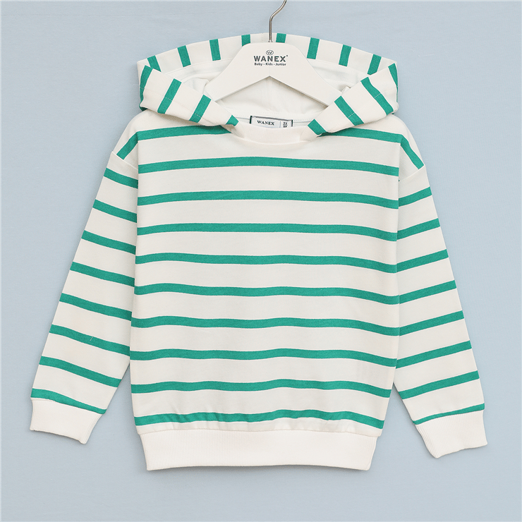 Erkek Çocuk Kapüşonlu Çizgili Sweatshirt - 16685