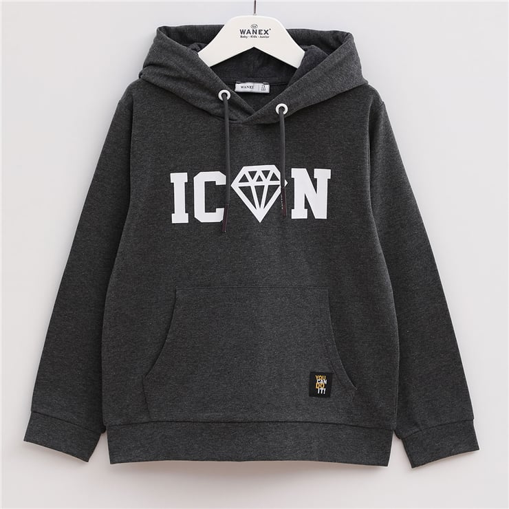 Erkek Çocuk Uzun Kol Kalın Kapüşonlu Sweatshirt - 15401