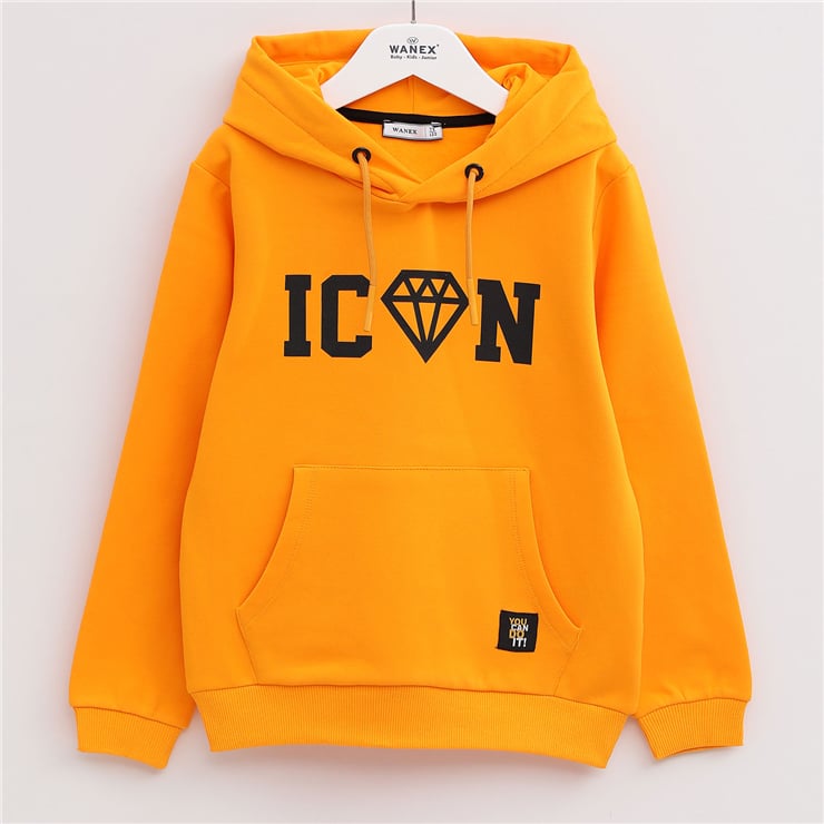 Erkek Çocuk Uzun Kol Kalın Kapüşonlu Sweatshirt - 15401