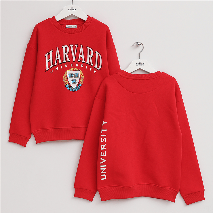 Erkek Çocuk Şardonlu Uzun Kol Kalın Bisiklet Yaka Sweatshirt - 16213