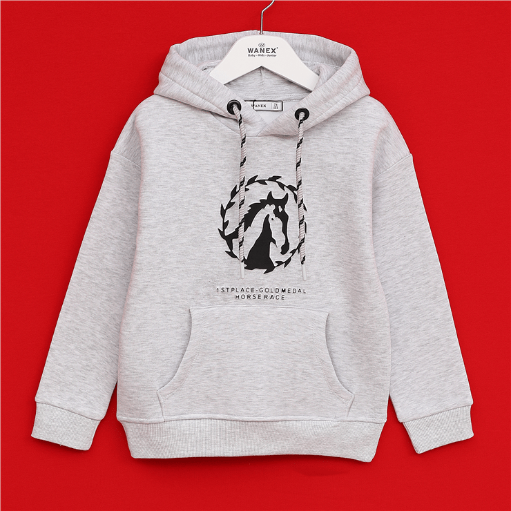 Erkek Çocuk Uzun Kol Kalın Kapüşonlu Sweat - 16715