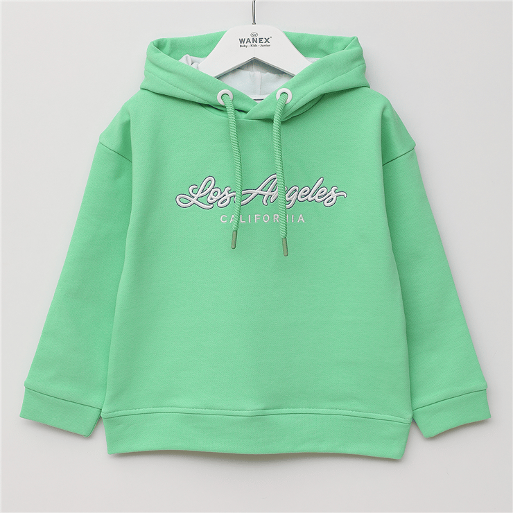 Erkek Çocuk Uzun Kol İnce Kapüşonlu Sweatshirt - 16793