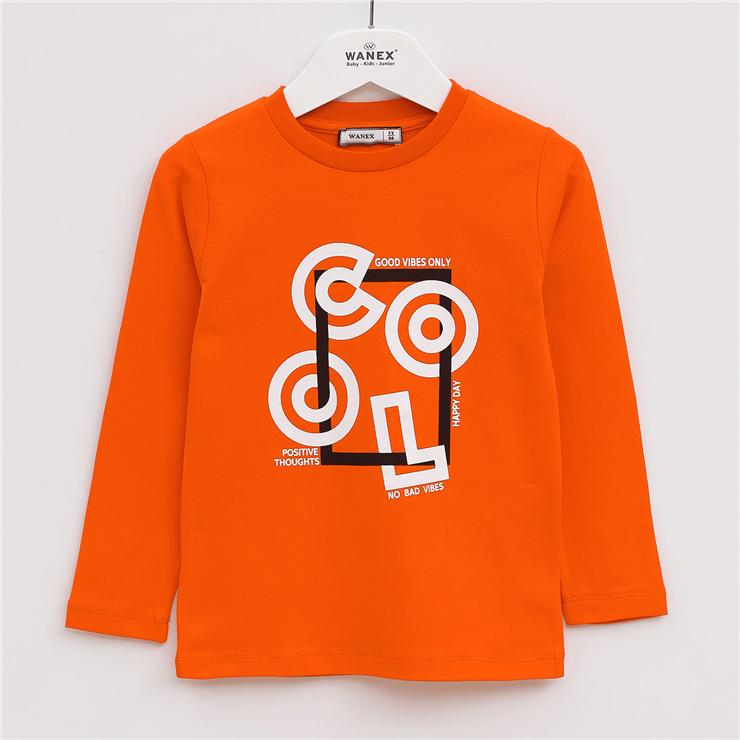 Erkek Çocuk Uzun Kol İnce Tişört - 15541