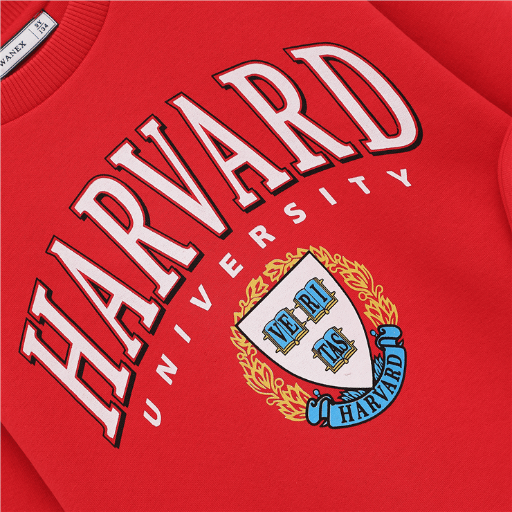 Erkek Çocuk Şardonlu Uzun Kol Kalın Bisiklet Yaka Sweatshirt - 16213