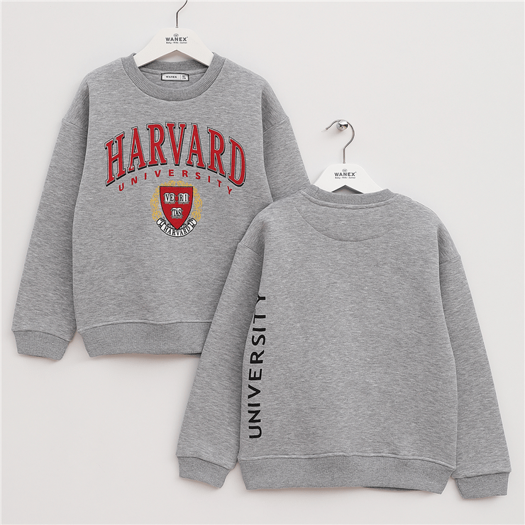 Erkek Çocuk Şardonlu Uzun Kol Kalın Bisiklet Yaka Sweatshirt - 16213
