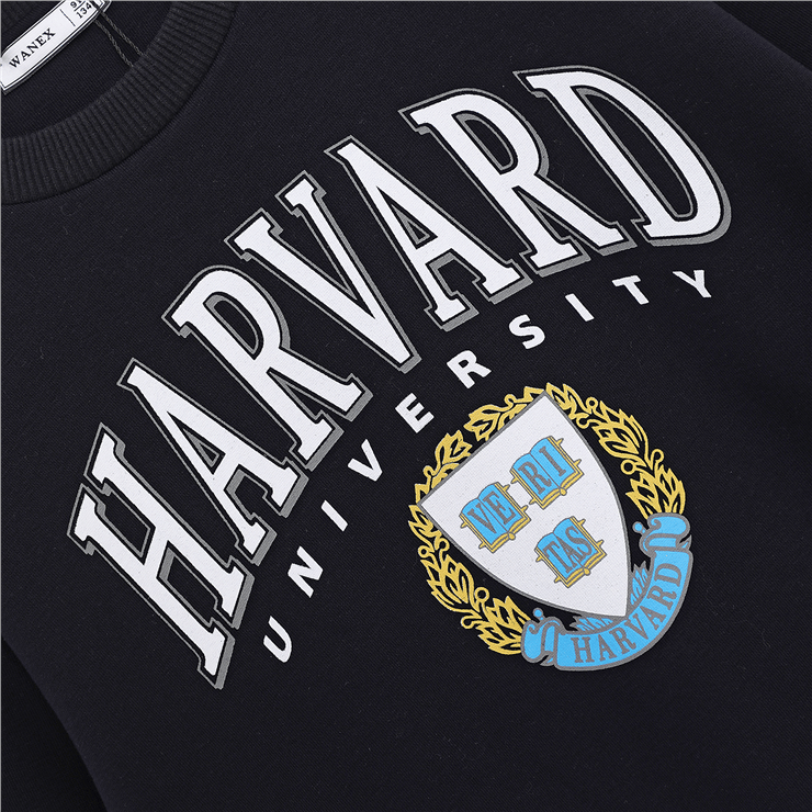 Erkek Çocuk Şardonlu Uzun Kol Kalın Bisiklet Yaka Sweatshirt - 16213