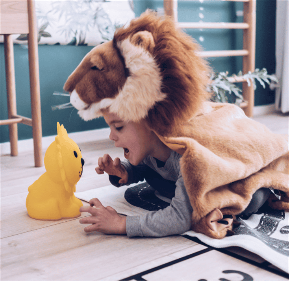 MR. MARIA LION FIRST LIGHT