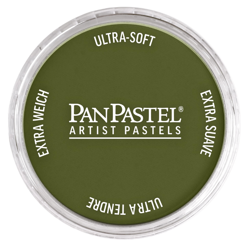 PANPASTELPANPASTEL ARTISTS PASTEL 220.1 HANSA YELLOW EXTRA DARK879465000111