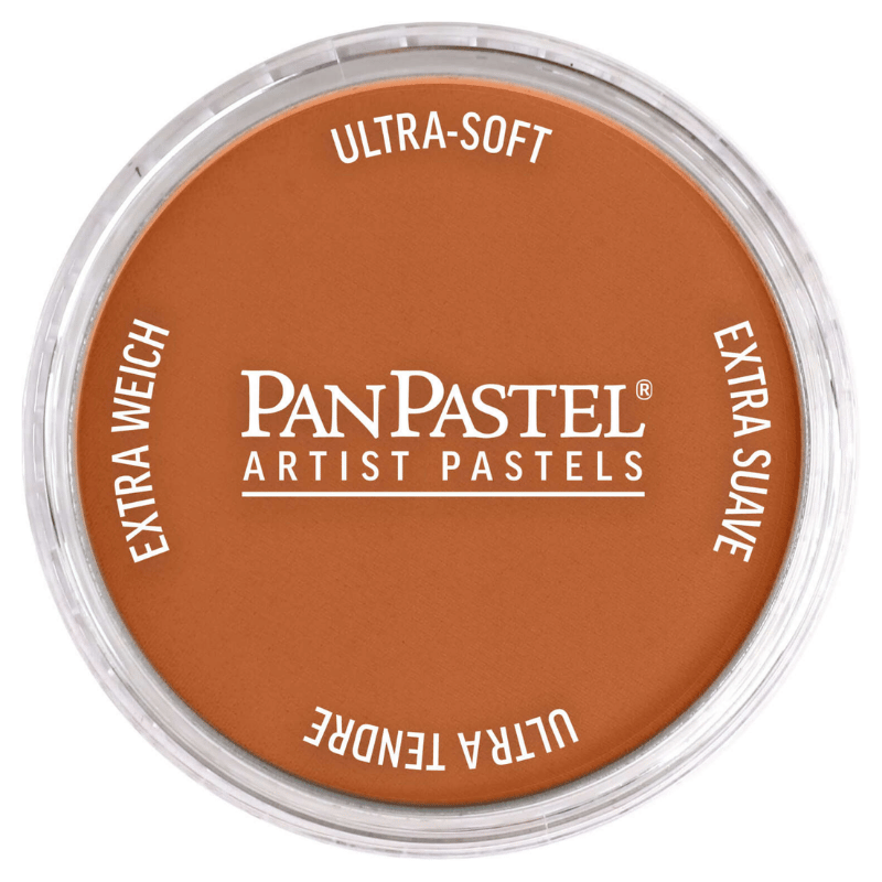PANPASTELPANPASTEL ARTISTS PASTEL 740.5 BURNT SİENNA879465001415