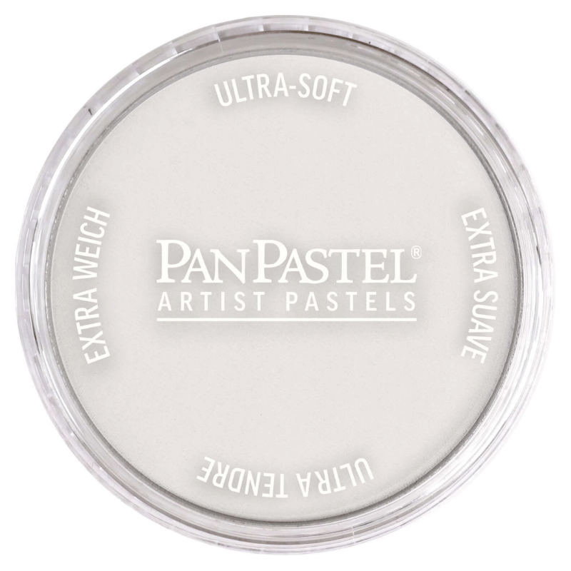 PANPASTELPANPASTEL PZ-2 ARTISTS PASTEL YUVARLAK KUTU 9ML 820.8 NEUTRAL GREY TINTY0003086