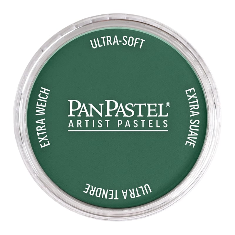 PANPASTELPANPASTEL PZ-2 ARTISTS PASTEL YUVARLAK KUTU 9ML 580.1 TURQUOISE EXTRA DARKY0003113