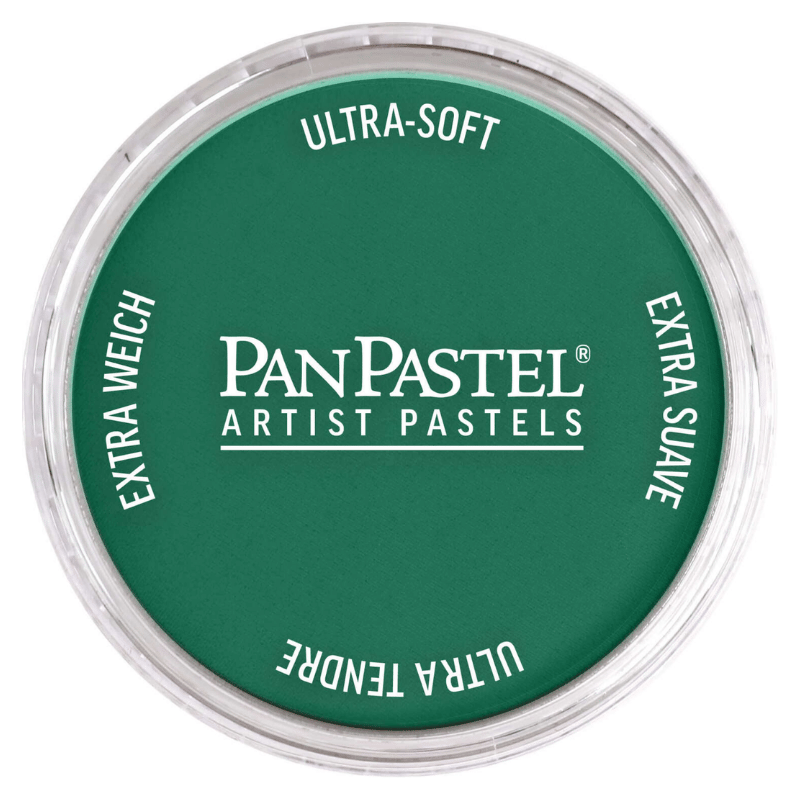 PANPASTELPANPASTEL PZ-2 ARTISTS PASTEL YUVARLAK KUTU 9ML 620.3 PHTHALO GREEN SHADEY0003109