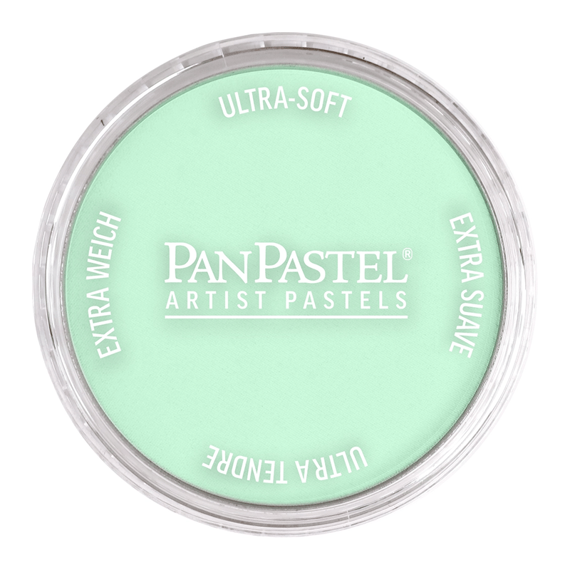 PANPASTELPANPASTEL PZ-2 ARTISTS PASTEL YUVARLAK KUTU 9ML 640.8 PERMANENT GREEN TINTY0003106