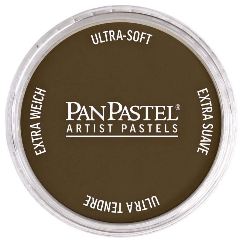 PANPASTELPANPASTEL PZ-2 ARTISTS PASTEL YUVARLAK KUTU 9ML 780.5 RAW UMBERY0003097