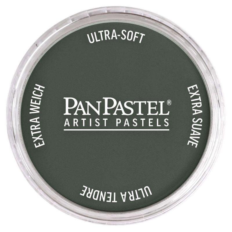 PANPASTELPANPASTEL PZ-2 ARTISTS PASTEL YUVARLAK KUTU 9ML 820.2 NEUTRAL GREY EXTRA DARKY0003095
