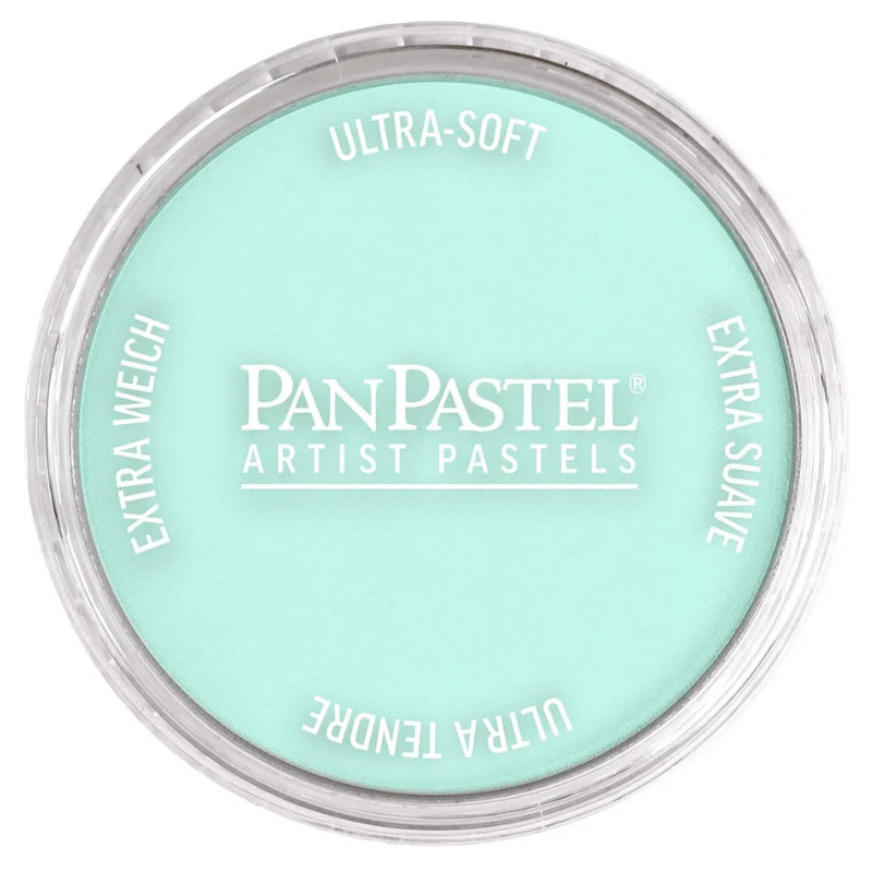 PANPASTELPANPASTEL PZ-2 ARTISTS PASTEL YUVARLAK KUTU 9ML 620.8 PHTHALO GREEN TINTY0003107