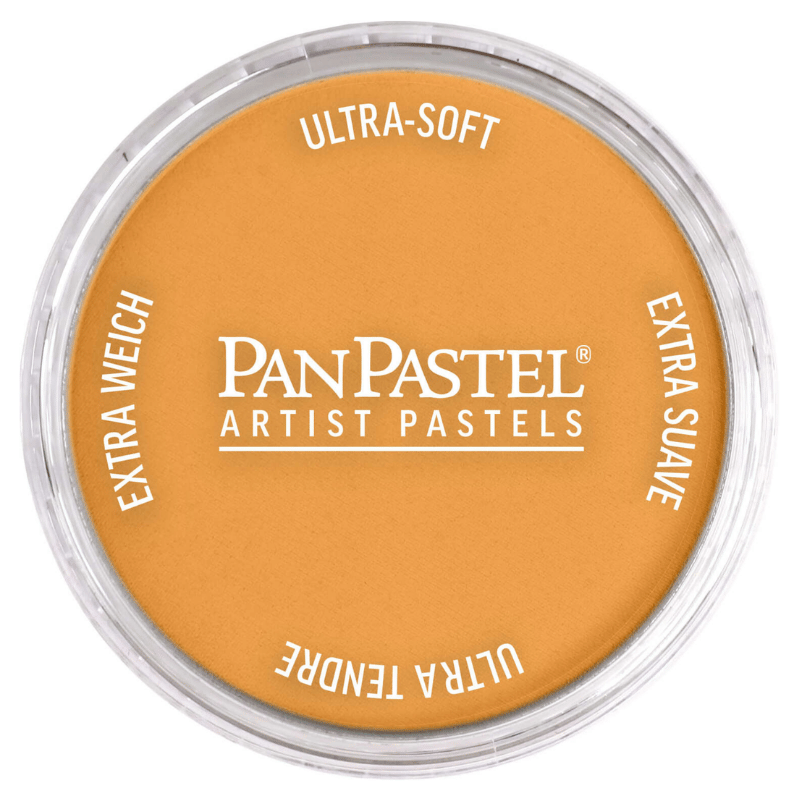 PANPASTELPANPASTEL PZ-2 ARTISTS PASTEL YUVARLAK KUTU 9ML 270.5 YELLOW OCHREY0003140