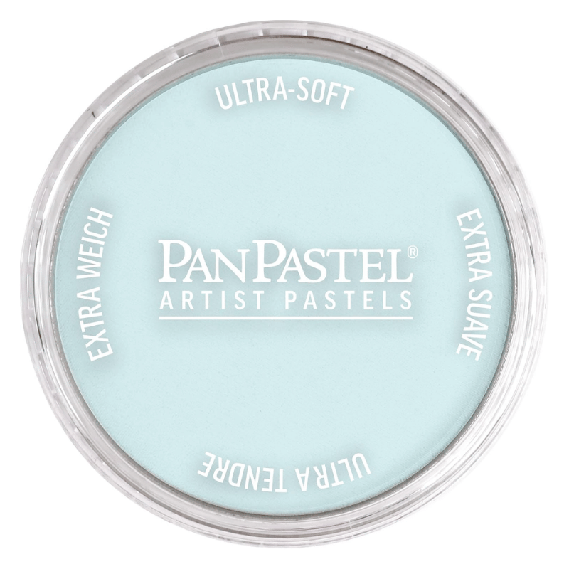 PANPASTELPANPASTEL PZ-2 ARTISTS PASTEL YUVARLAK KUTU 9ML 580.8 TURQUOISE TINTY0003108