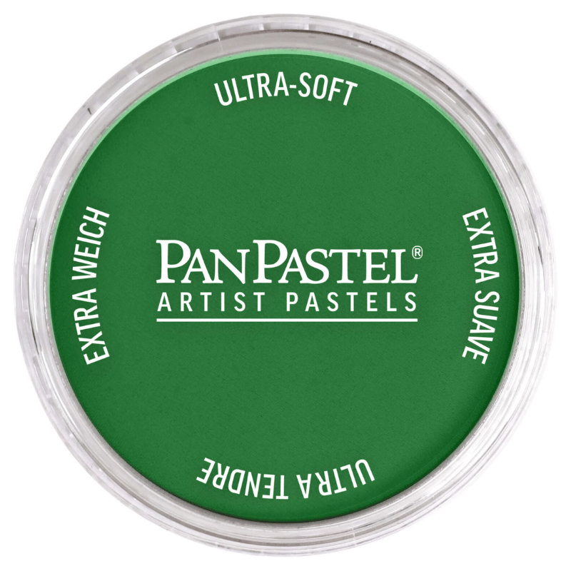 PANPASTELPANPASTEL PZ-2 ARTISTS PASTEL YUVARLAK KUTU 9ML 640.3 PERMANENT GREEN SHADEY0003093